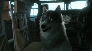 mgsv_tpp_ddog