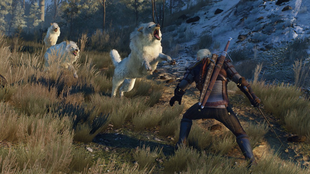 the-witcher-3-maj-lesgameuses