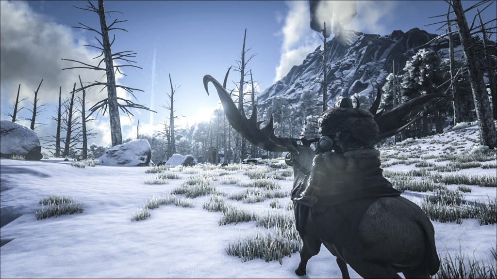 ark_winter