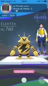Il faut battre les trois dresseurs d'une arène avec un seul Pokémon